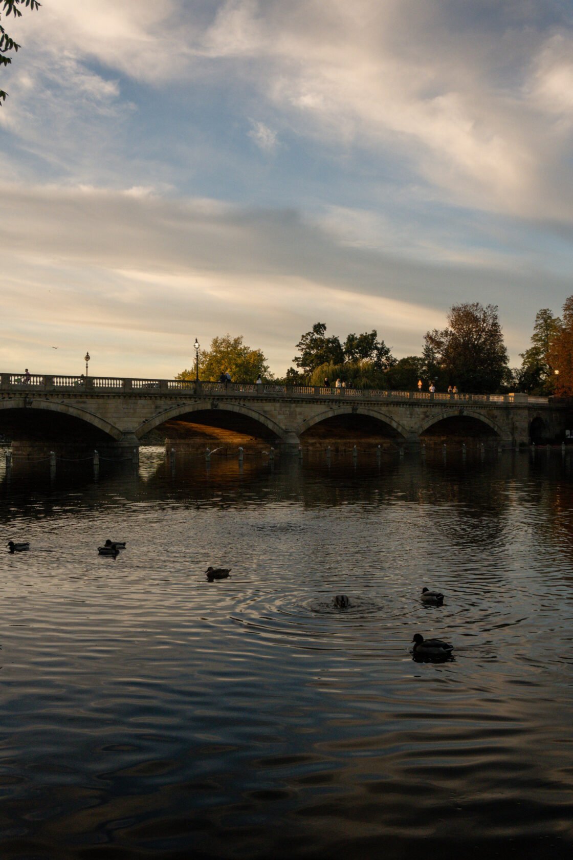 Hyde Park